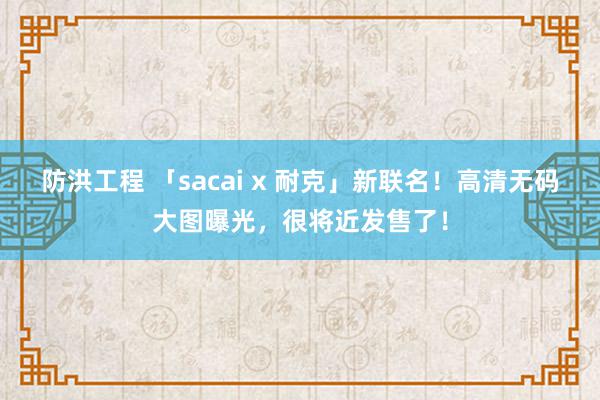 防洪工程 「sacai x 耐克」新联名！高清无码大图曝光，很将近发售了！